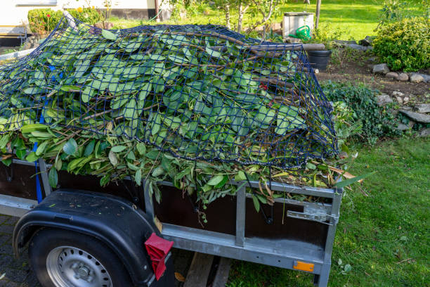 Best Moving and Downsizing Cleanouts  in Springfield, SD